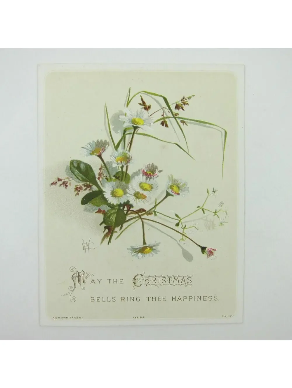 Victorian Christmas Card Hildesheimer & Faulkner White Daisy Flowers Antique